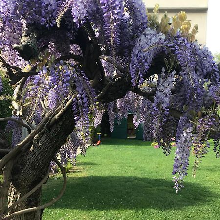 אלבניה Villa Marlene B&B מראה חיצוני תמונה