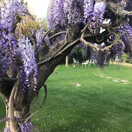אלבניה Villa Marlene B&B מראה חיצוני תמונה