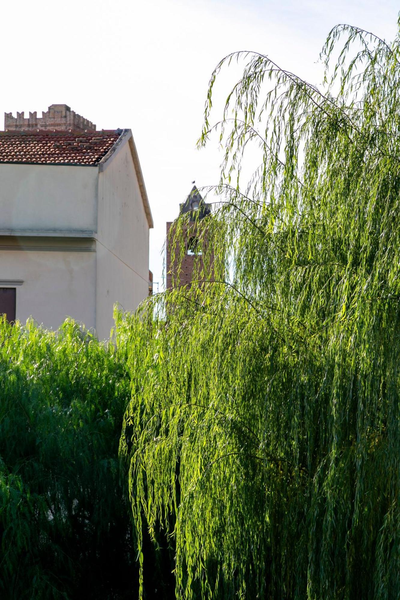 אלבניה Villa Marlene B&B מראה חיצוני תמונה