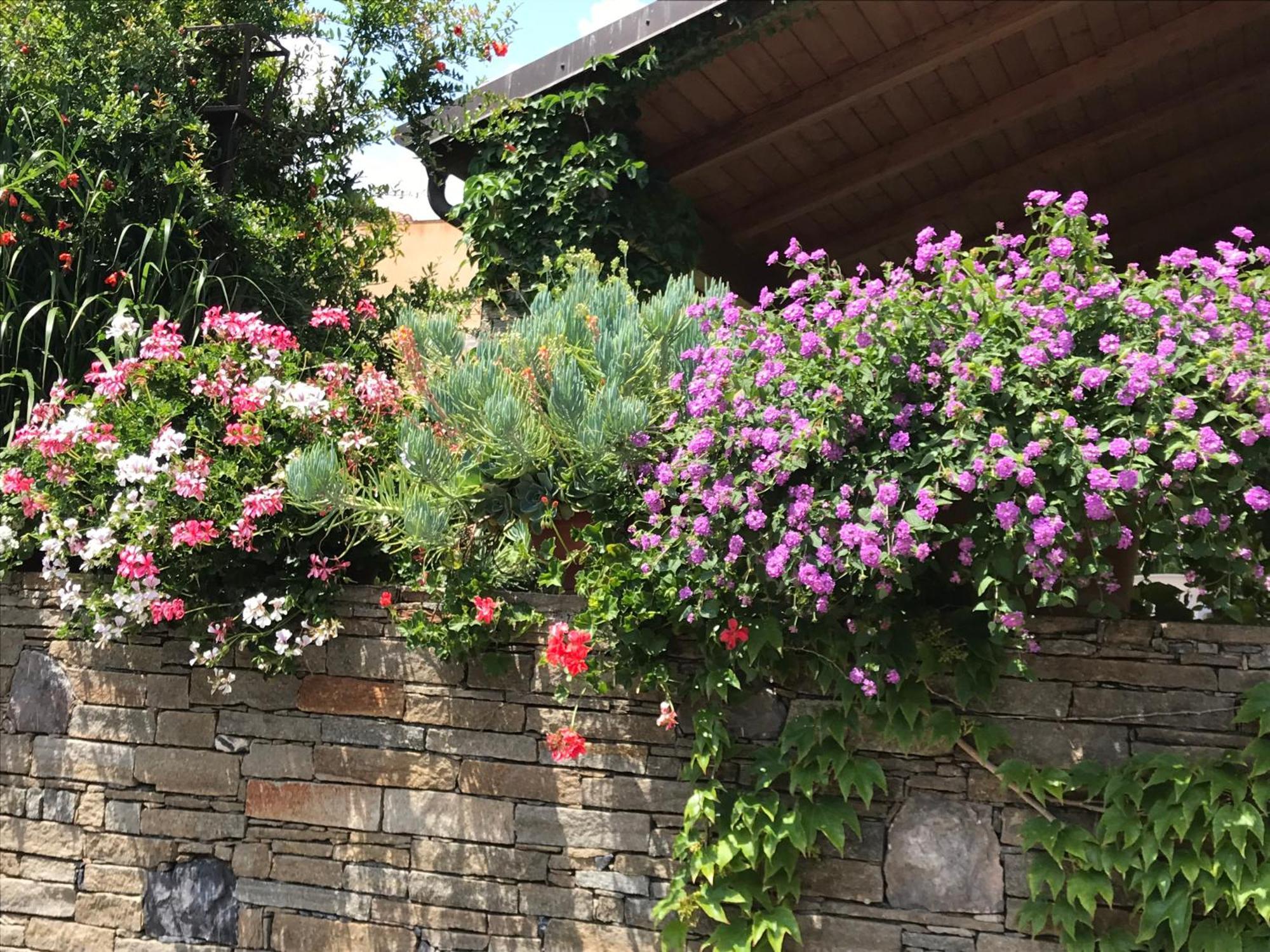 אלבניה Villa Marlene B&B מראה חיצוני תמונה